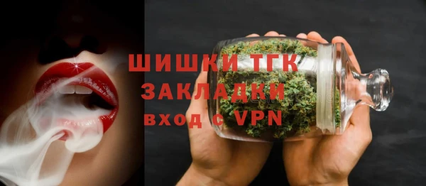 сатива Алзамай