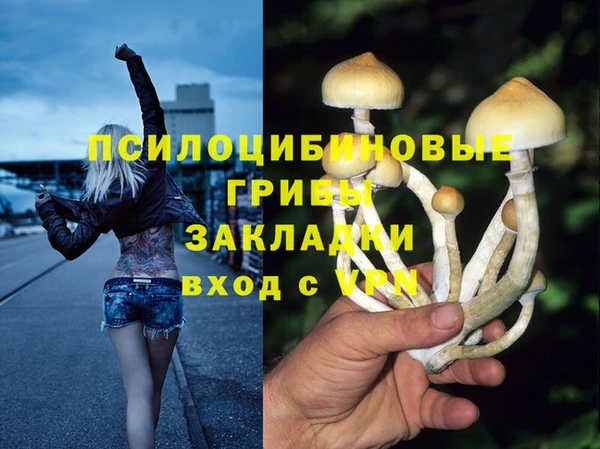 сатива Алзамай